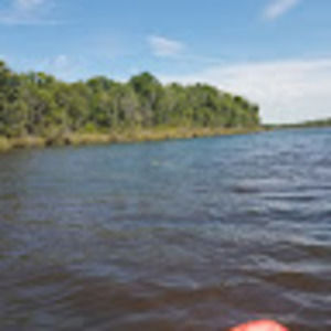 Meet your Posher, Steve